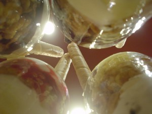 DSC03220