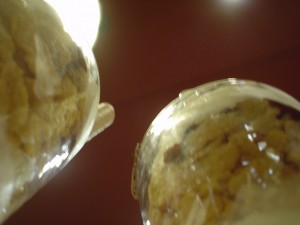 DSC03300