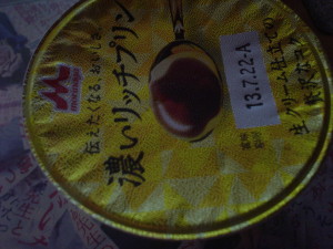 DSC04110